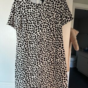 Great work wear dress